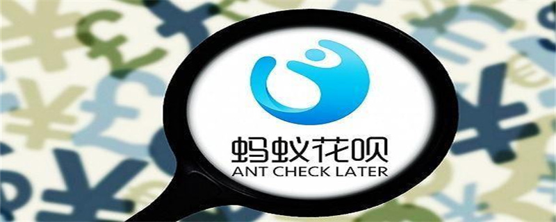 支付宝 (11).jpg